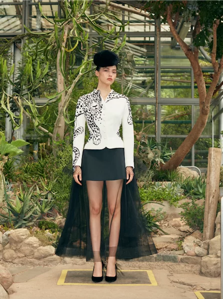 Look FW2021-12
