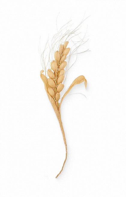 Beige raffia brooch